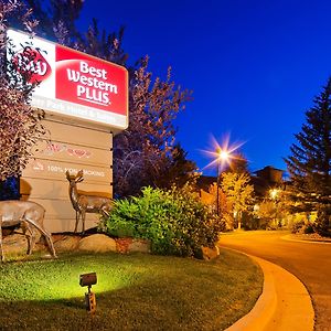 Best Western Plus Deer Park Hotel And Suites